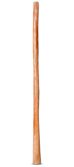 Natural Finish Didgeridoo (TW467)